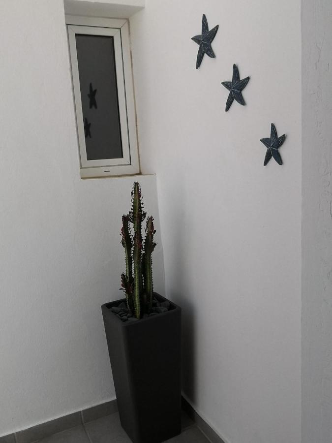 דירות טרחלחו Estrella De Mar מראה חיצוני תמונה