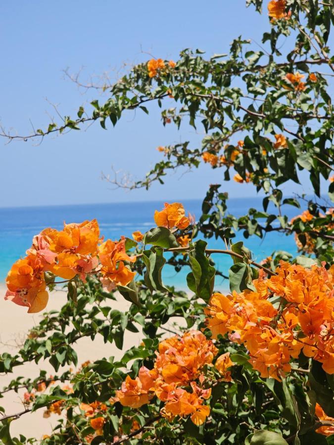 דירות טרחלחו Estrella De Mar מראה חיצוני תמונה